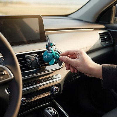 Sent bon pour voiture couleur vert